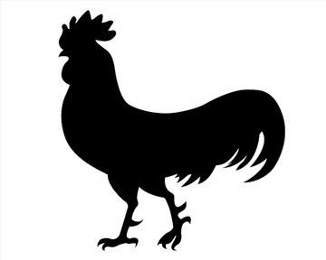 公雞矢量圖