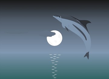 月光下跳躍的海豚