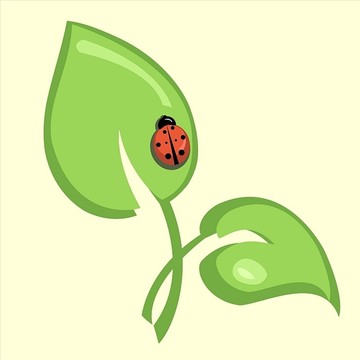 綠葉上的瓢蟲