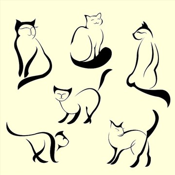 貓咪剪影