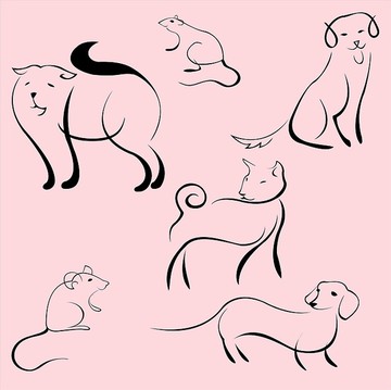 動(dòng)物素描