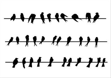 鳥類矢量圖