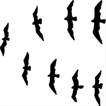 鳥類矢量圖