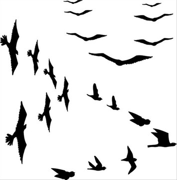 鳥(niǎo)類矢量圖