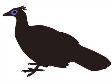鳥類矢量圖