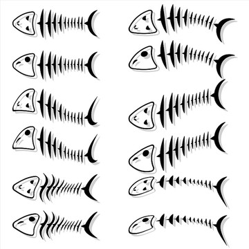 魚骨架矢量圖