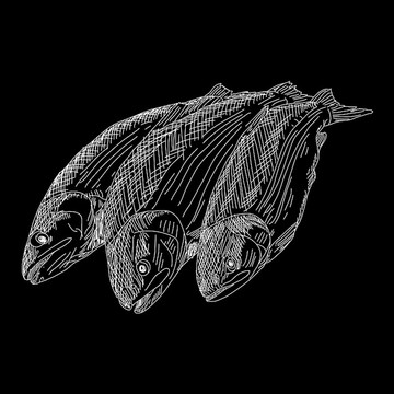 手繪魚矢量圖