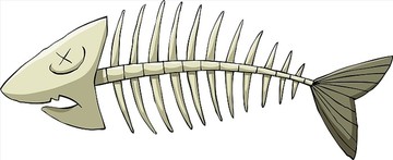 魚(yú)骨矢量圖