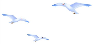 鳥類矢量插畫