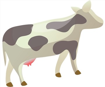 動(dòng)物矢量插畫(huà)