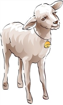 卡通綿羊插畫