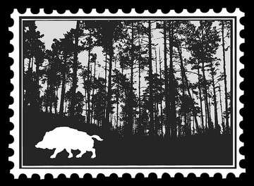 邮票上的野猪剪影
