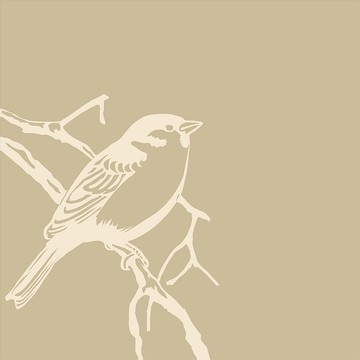 樹枝上的鳥插畫