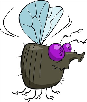 昆蟲(chóng)矢量插圖
