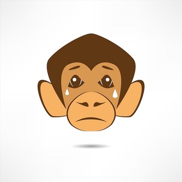 哭泣的猴子