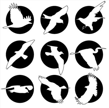 鳥類矢量圖