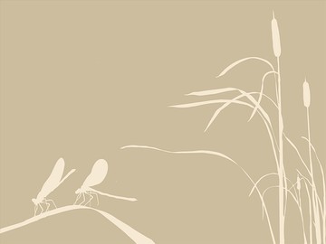 蜻蜓矢量圖