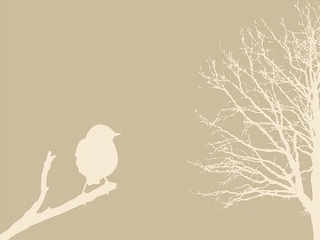 树枝上的鸟矢量插图