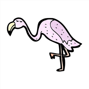 卡通火烈鳥(niǎo)矢量圖