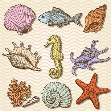 海洋生物矢量圖