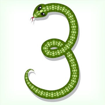 蛇数字设计