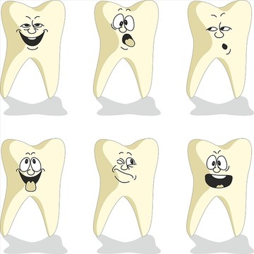 牙齿矢量图