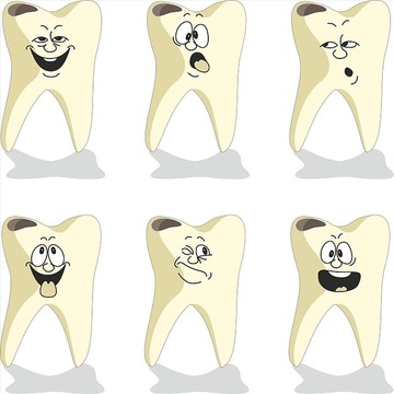 牙齿矢量图