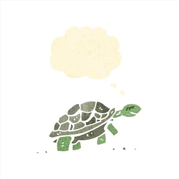 卡通動物烏龜插畫