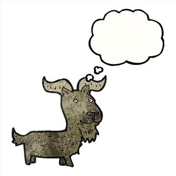 卡通动物山羊插画
