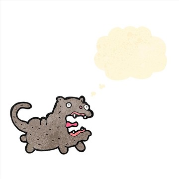 卡通動(dòng)物貓咪插畫