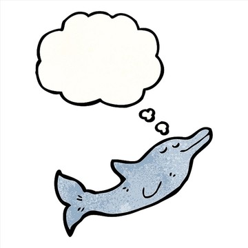 海豚与思想泡沫卡通