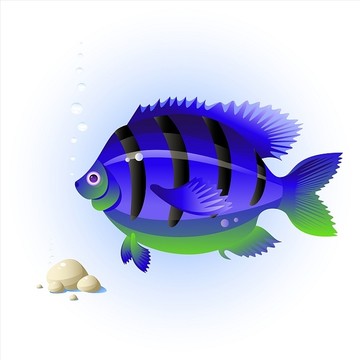海洋魚矢量圖