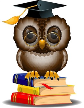 聪明的猫头鹰在一堆书上