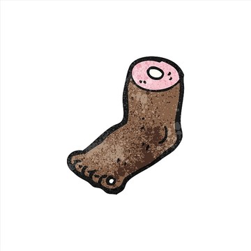 動(dòng)物的腳
