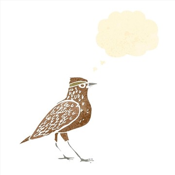 卡通鳥插畫