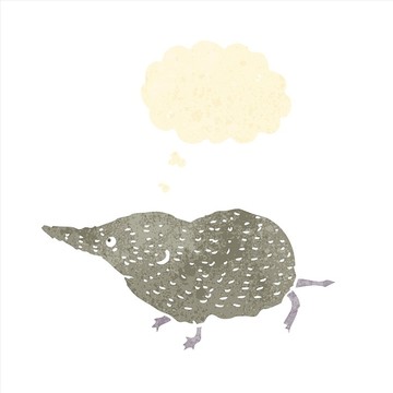 卡通動(dòng)物插畫(huà)