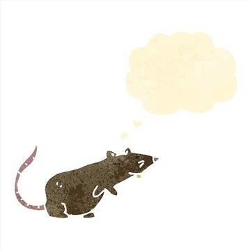 卡通老鼠插畫