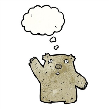 卡通熊插畫