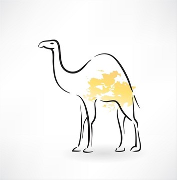 駱駝圖標(biāo)