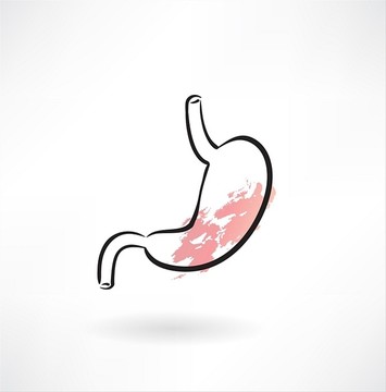 胃部器官图标