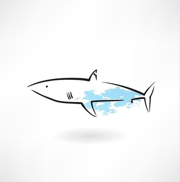 鯊魚的圖標(biāo)