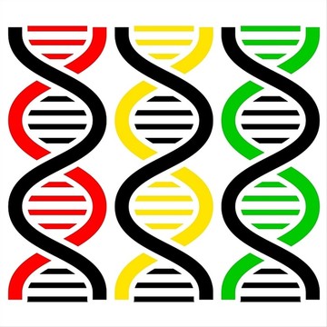 DNA螺旋矢量插畫