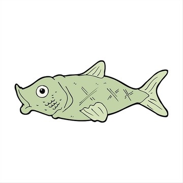 海洋鱼矢量图