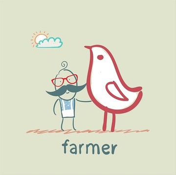 农民和动物鸡