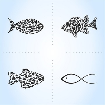 海鱼矢量插画