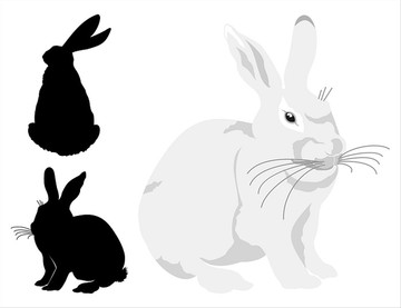 白兔子和剪影兔子矢量图