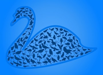 天鵝矢量插畫(huà)
