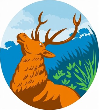 動物插圖
