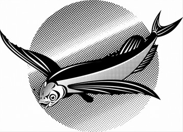 飛魚(yú)