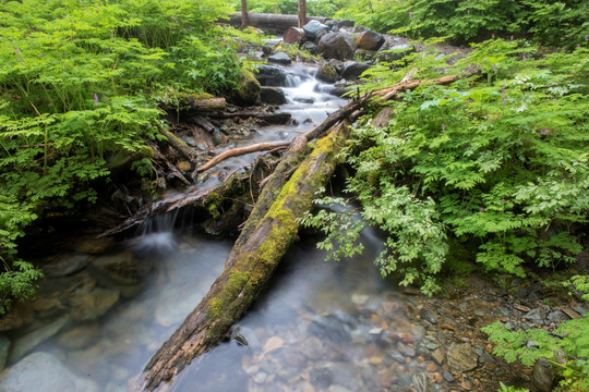 小溪流水